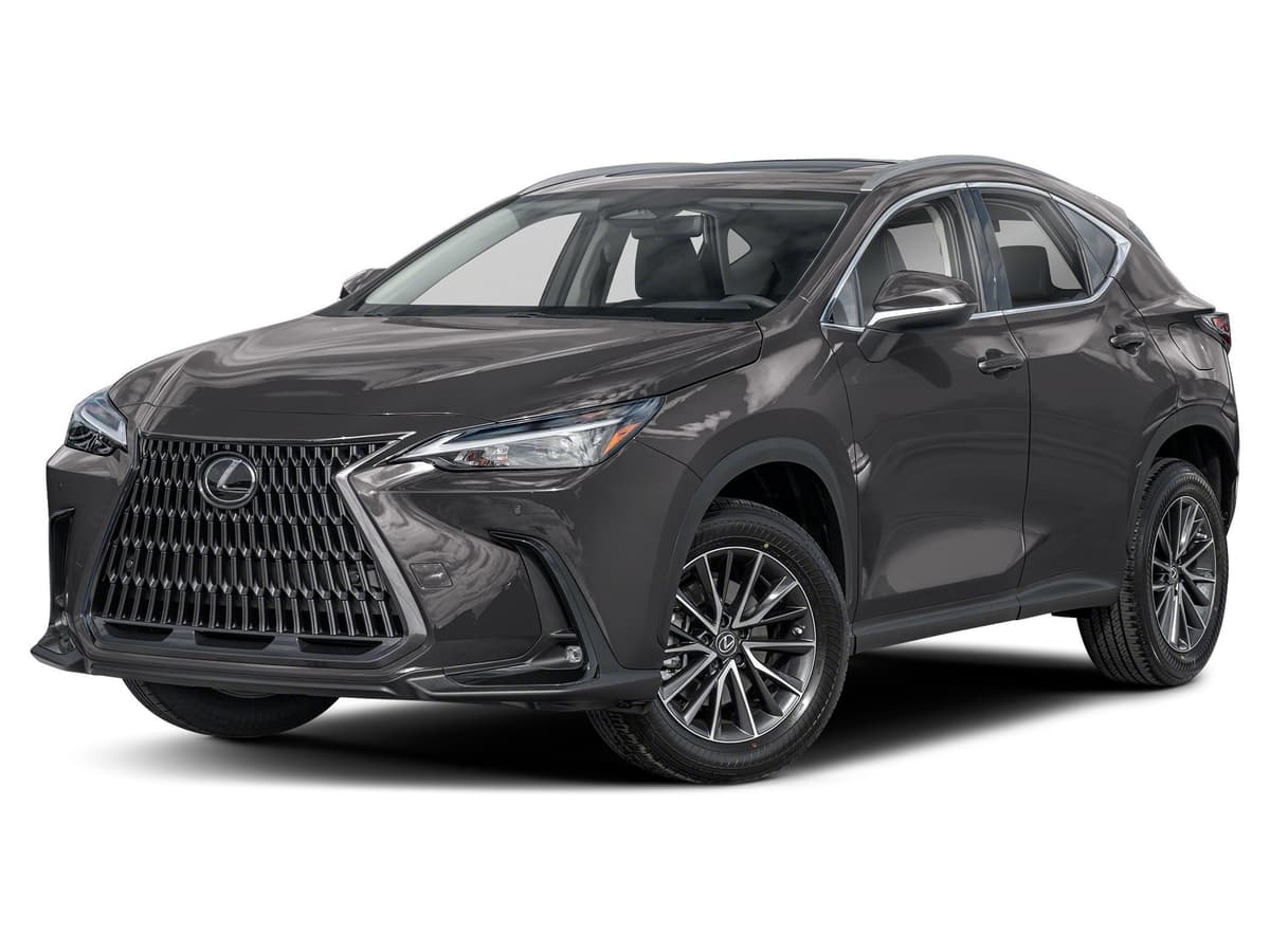 2025 LEXUS NX - Image 1