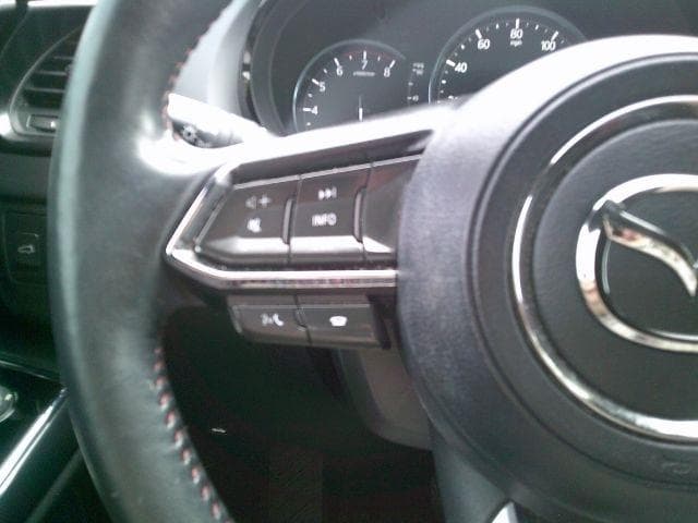 2021 Mazda CX-9 - Image 15