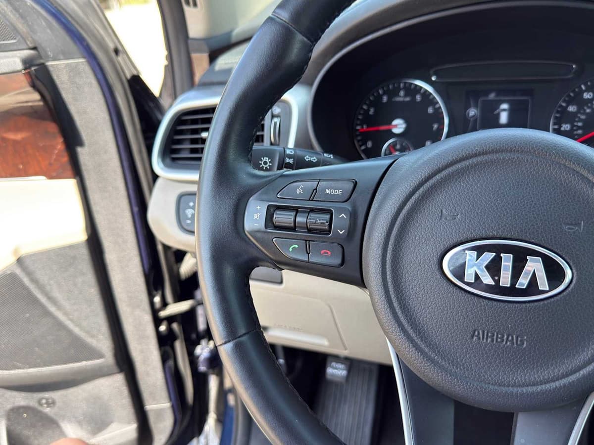 2017 Kia Sorento - Image 19