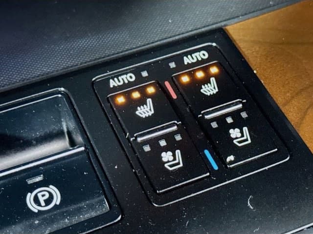 2019 LEXUS RX 350 - Image 20