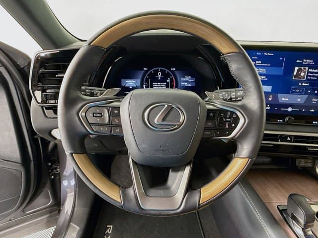 2025 LEXUS RX 350 - Image 10