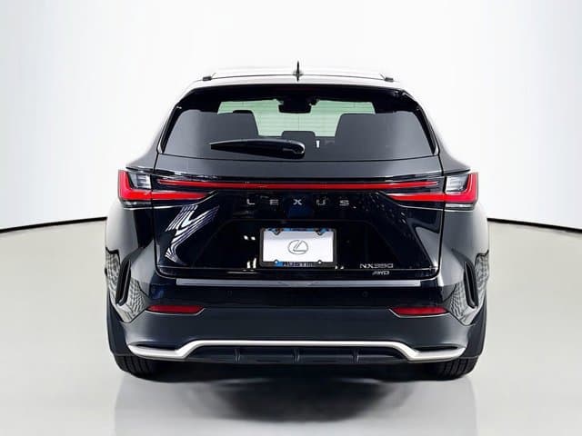 2024 LEXUS NX 350 - Image 5