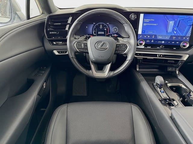 2025 LEXUS RX 350 - Image 23