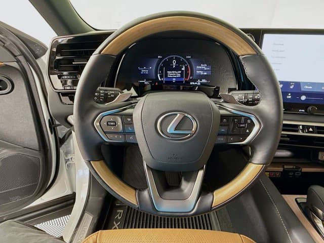 2025 LEXUS RX 350 - Image 11