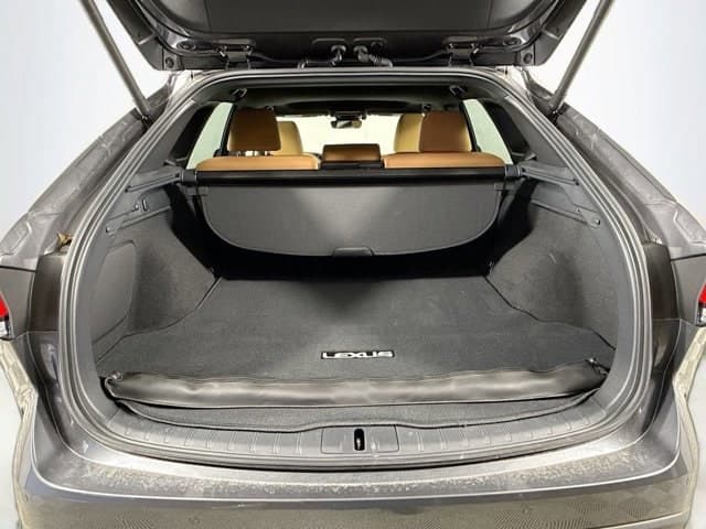 2025 LEXUS RX 350 - Image 27