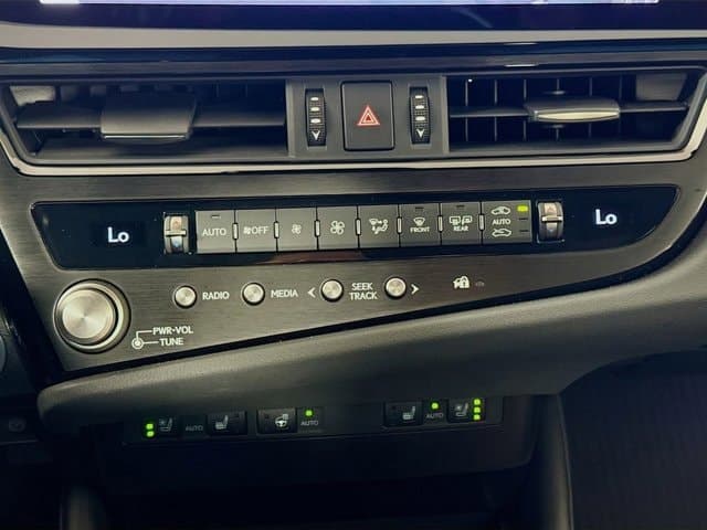2025 LEXUS ES 350 - Image 15