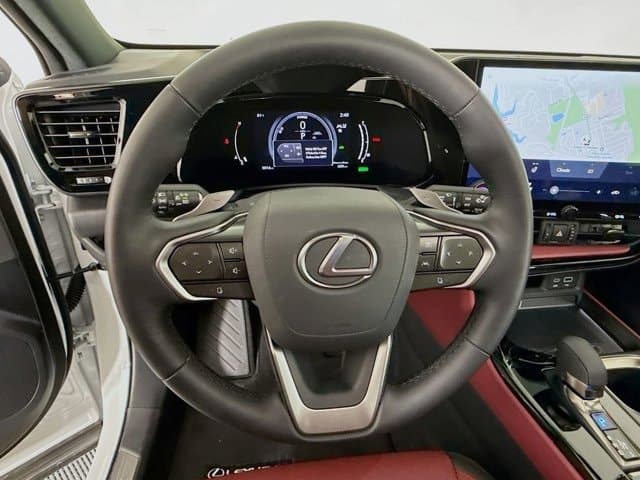 2025 LEXUS NX 350h - Image 10