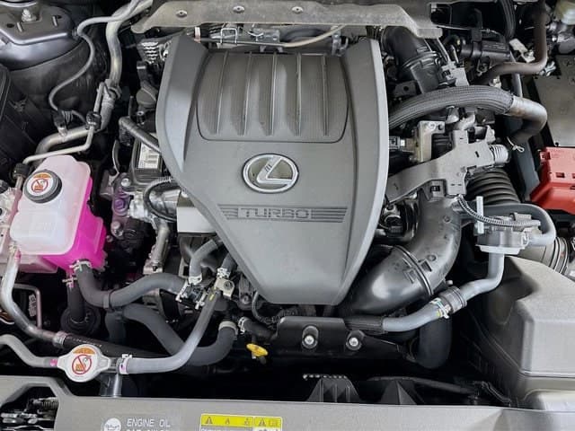 2025 LEXUS RX 350 - Image 31