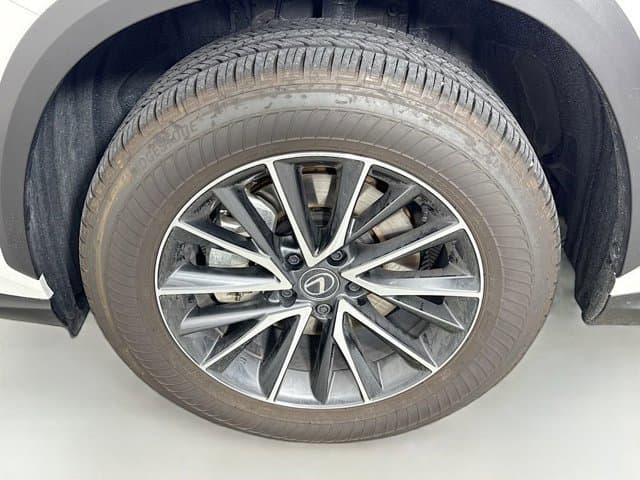 2025 LEXUS NX 350h - Image 31