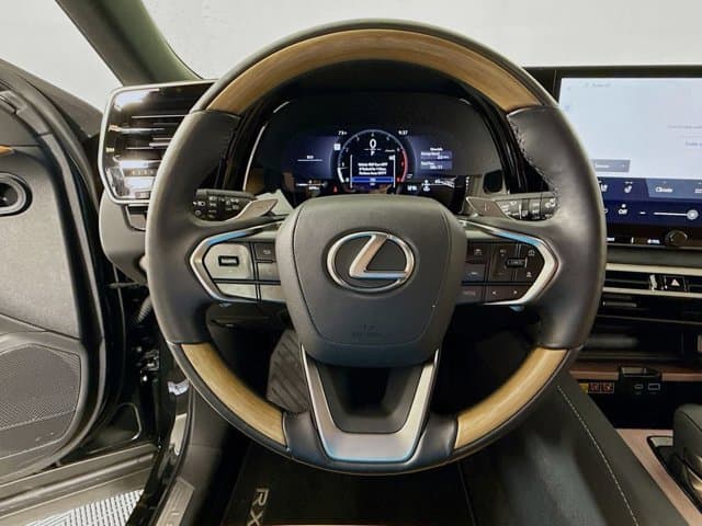 2025 LEXUS RX 350 - Image 11