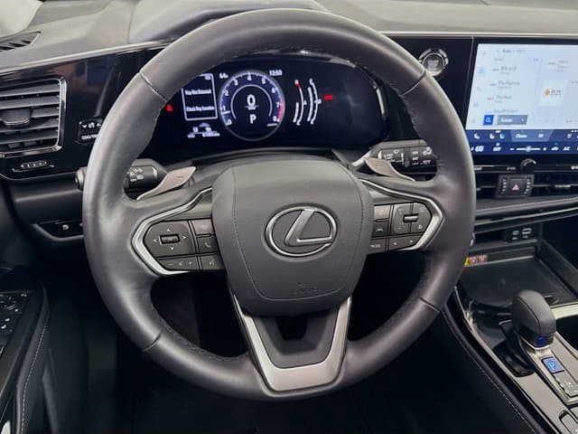 2025 LEXUS NX 250 - Image 11