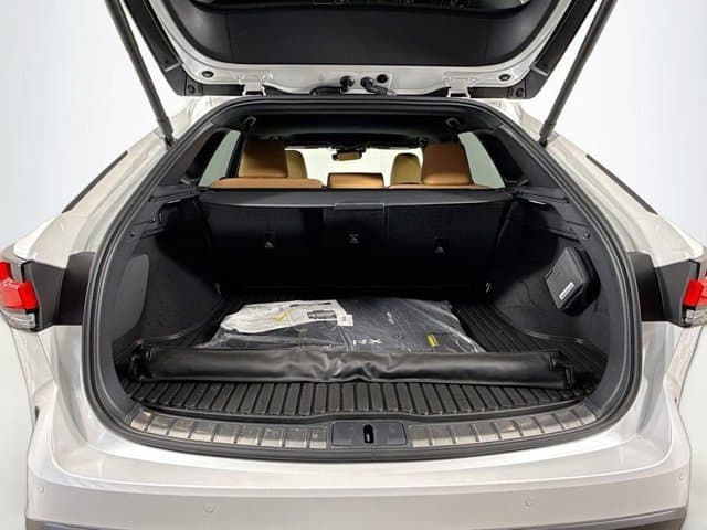 2025 LEXUS RX 350 - Image 28