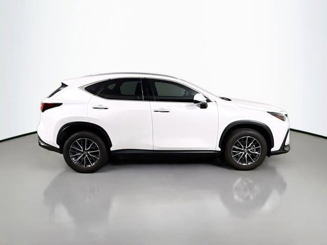 2025 LEXUS NX 350h - Image 3