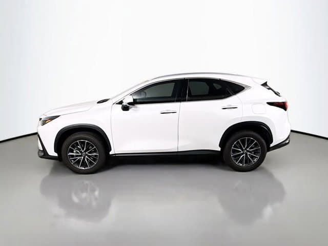 2025 LEXUS NX 350h - Image 7