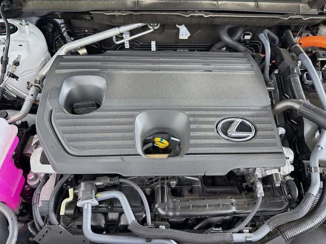 2025 LEXUS NX 350h - Image 30