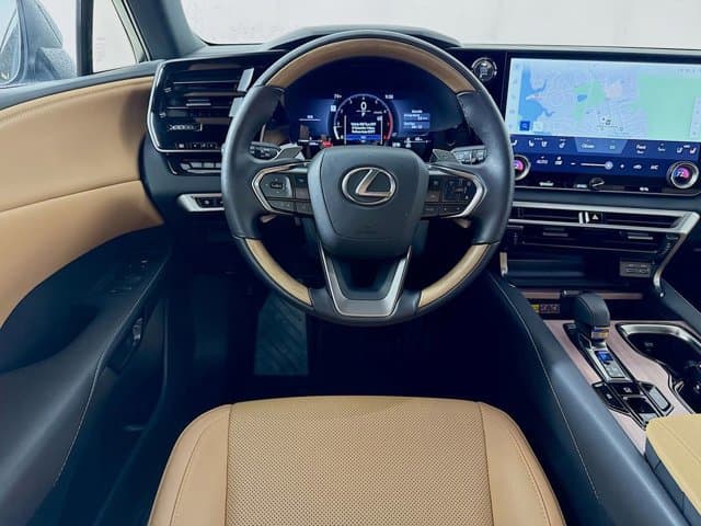 2025 LEXUS RX 350 - Image 24