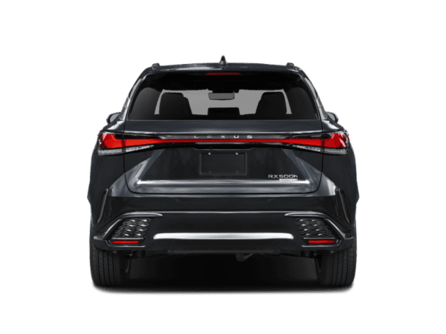 2023 Lexus RX - Image 6