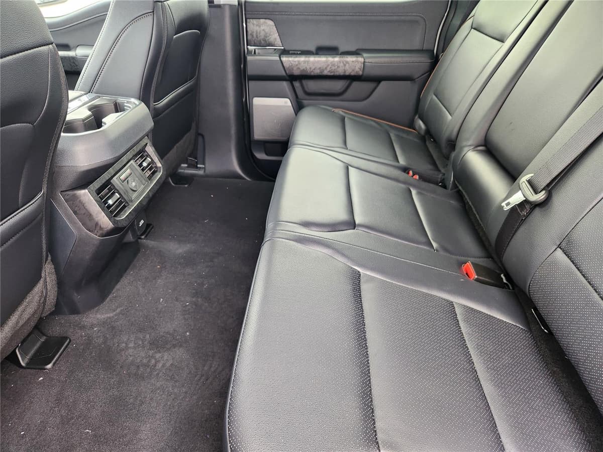 2025 Ford Super Duty F-250 - Image 28