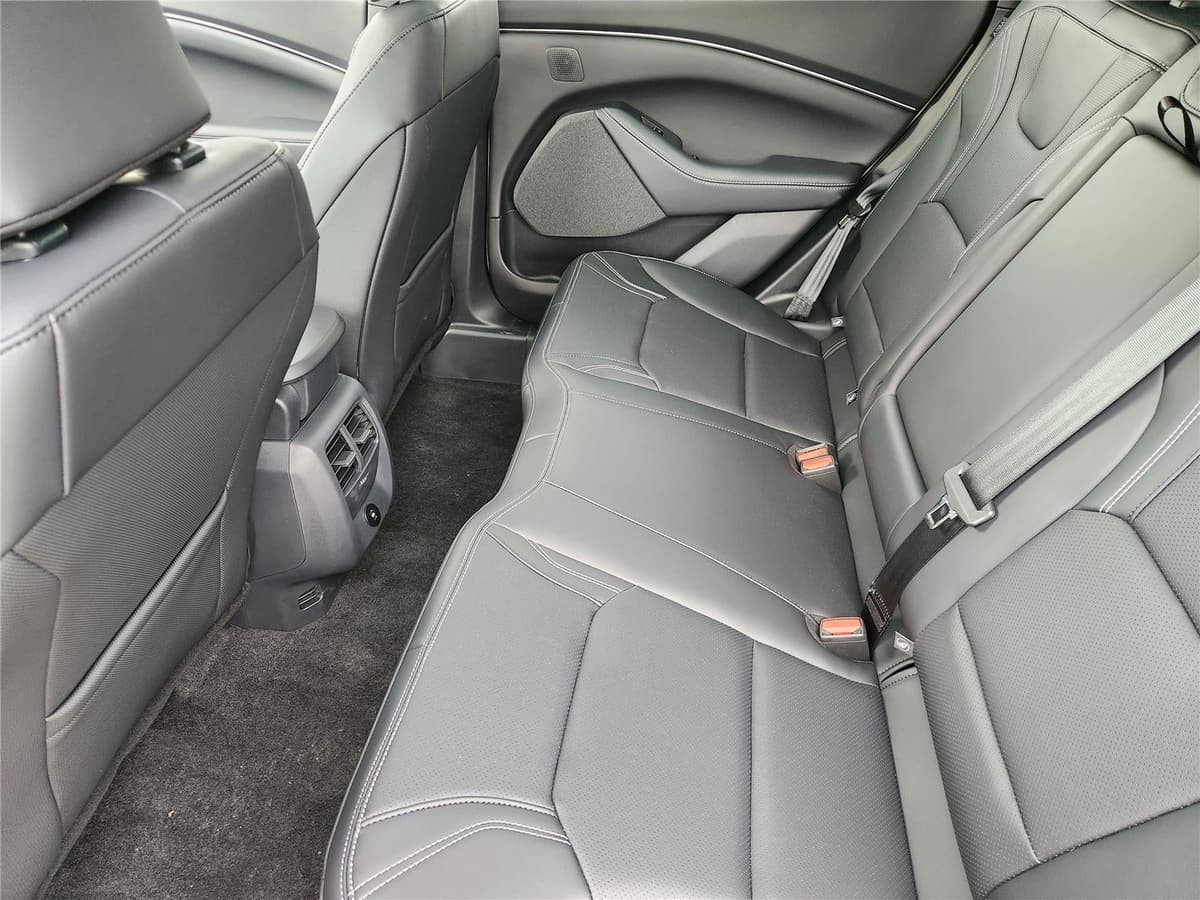 2025 Ford Mustang Mach-E - Image 21