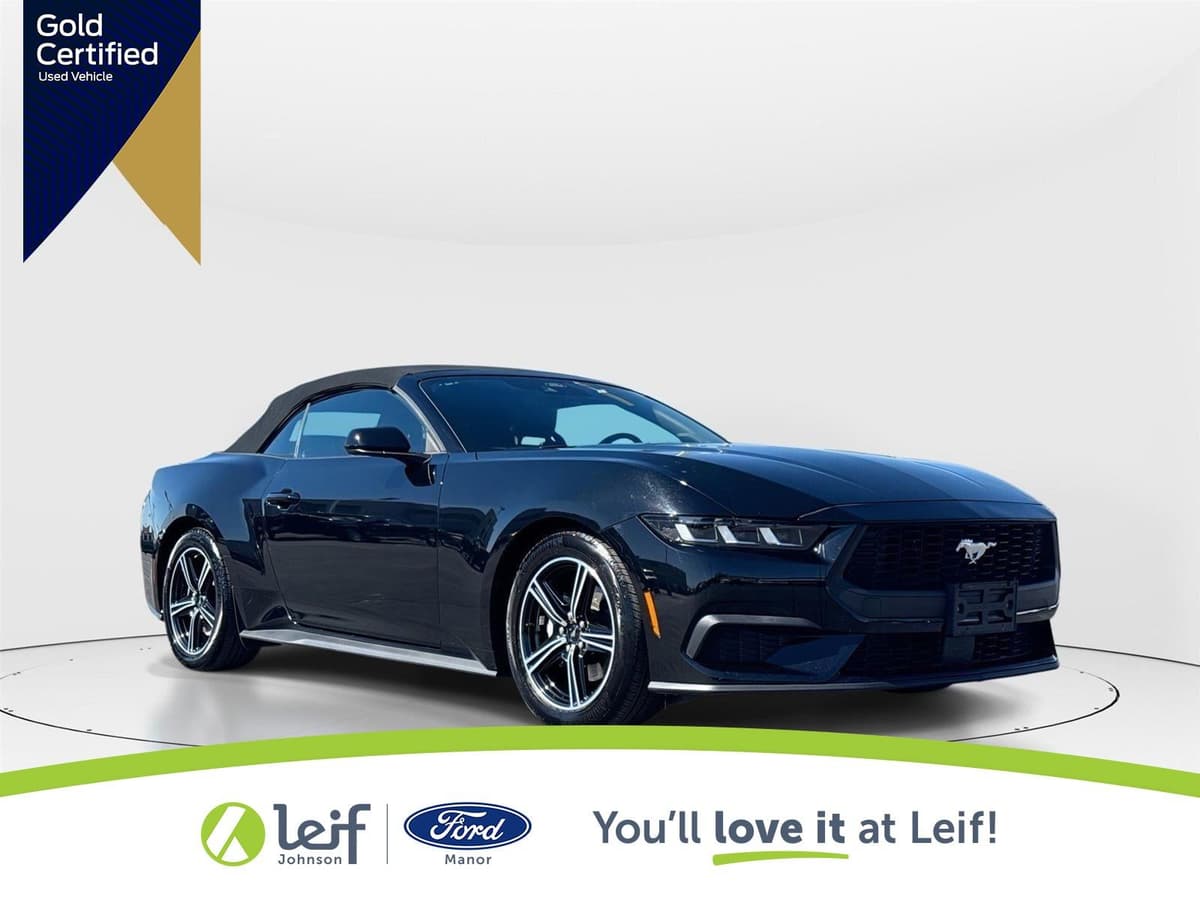 2025 Ford Mustang - Image 1