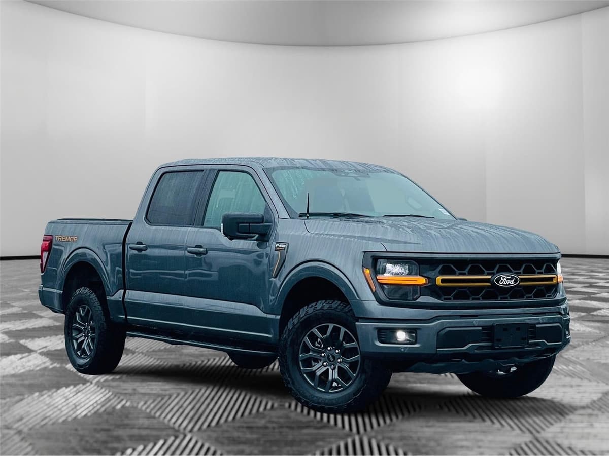 2025 Ford F-150 - Image 1