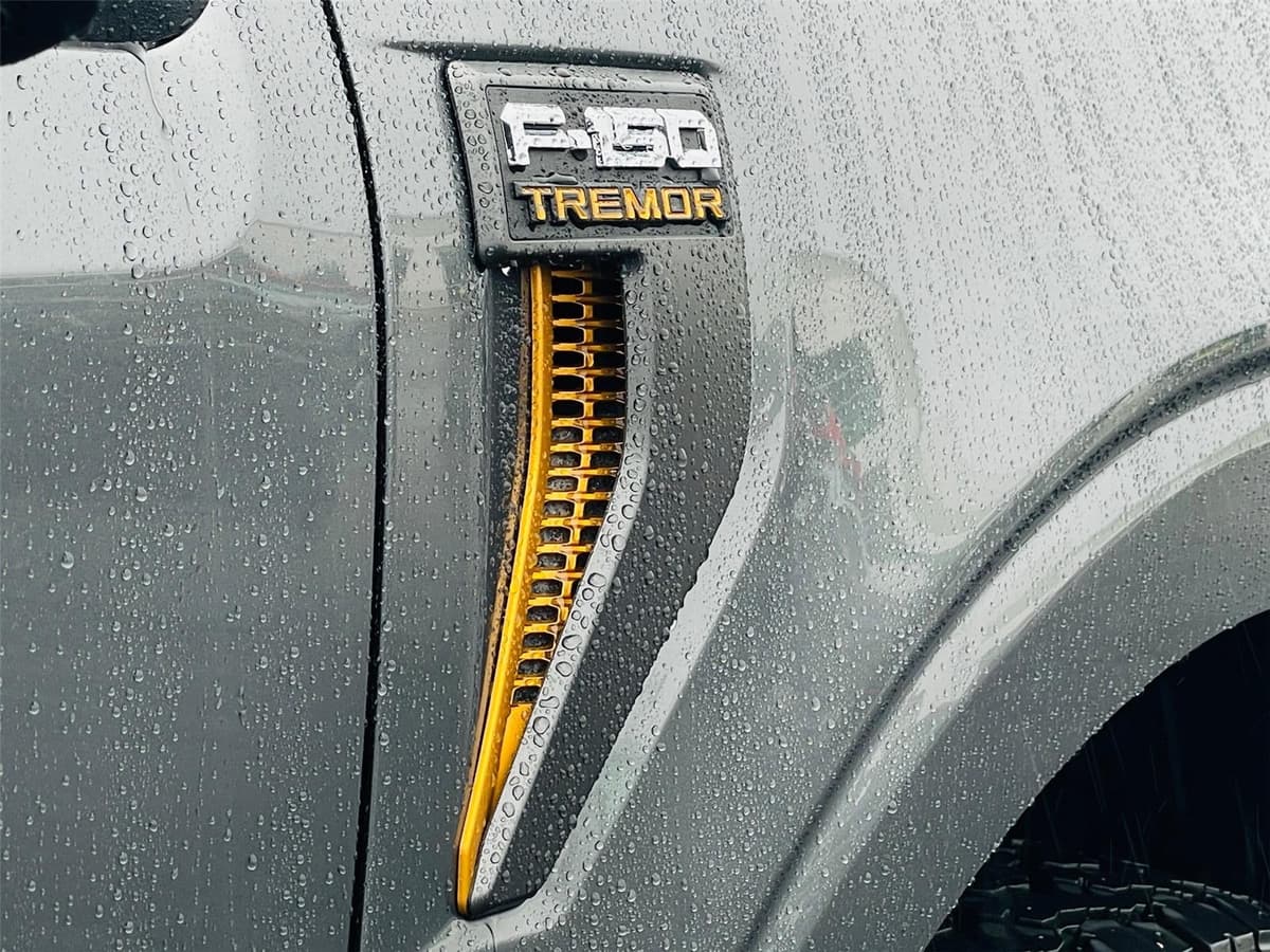 2025 Ford F-150 - Image 20