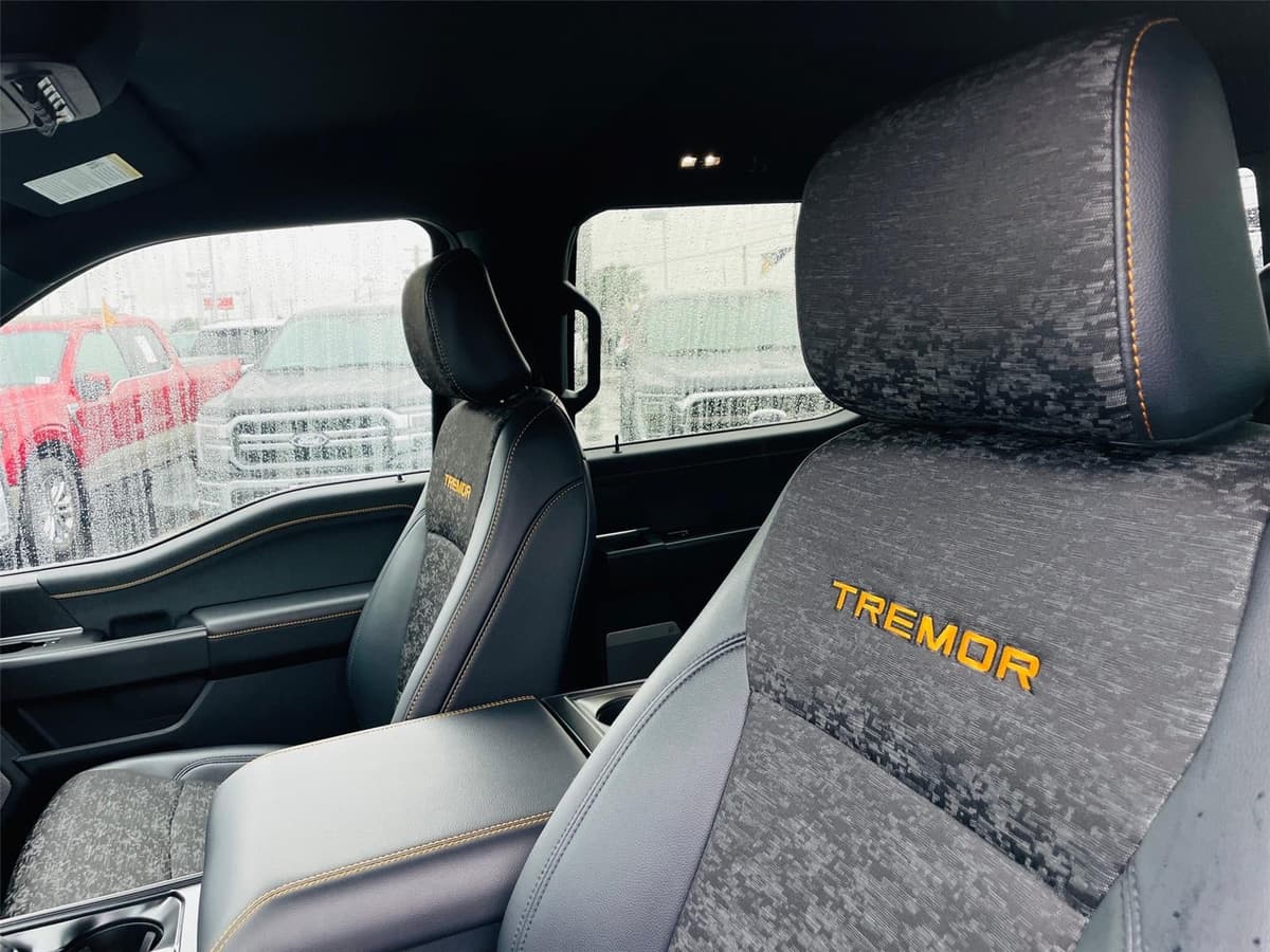 2025 Ford F-150 - Image 9