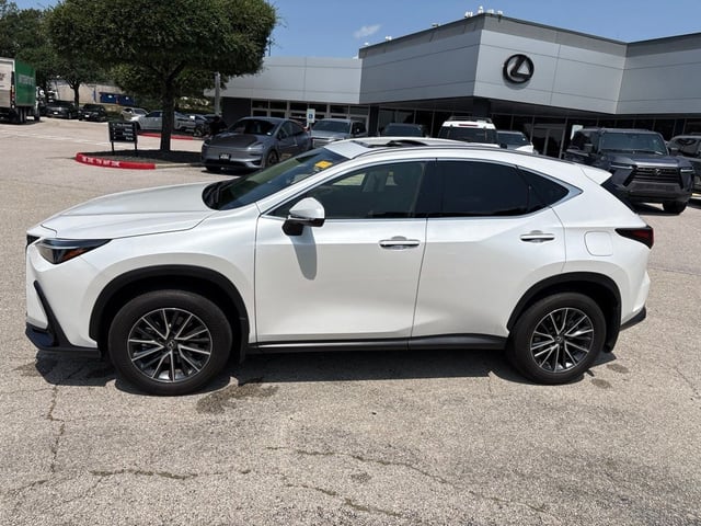 2024 LEXUS NX 250