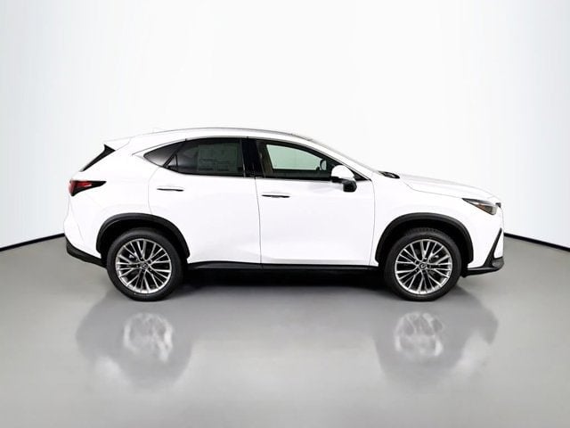 2026 LEXUS NX