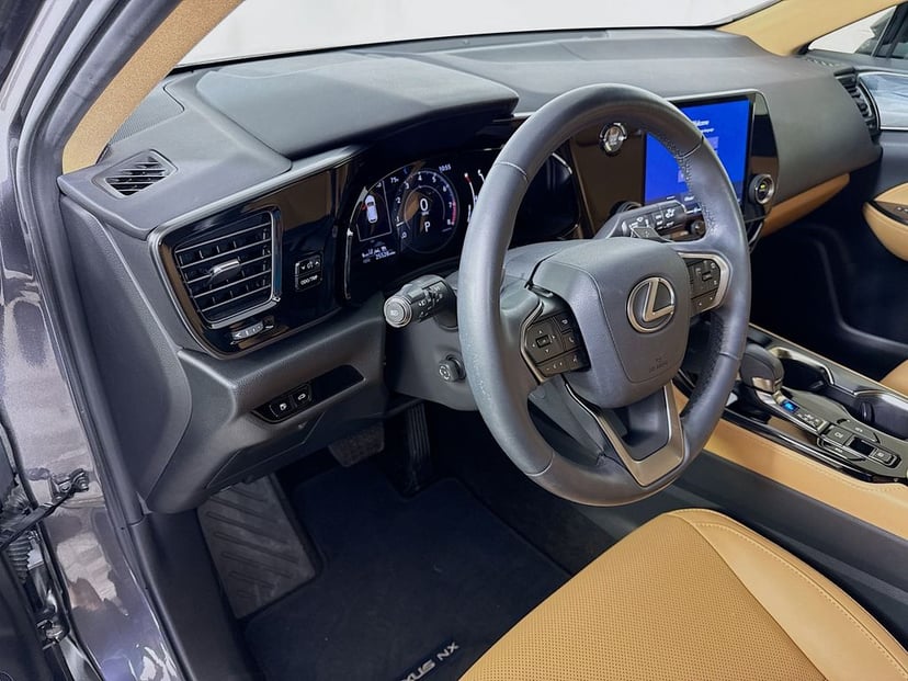 2024 LEXUS NX 250 - Image 9