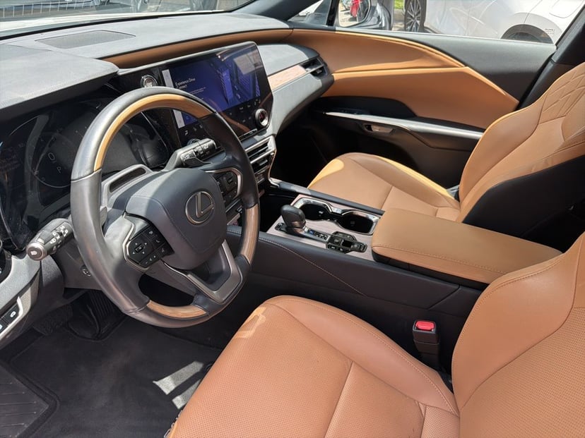 2024 LEXUS RX 350 - Image 10