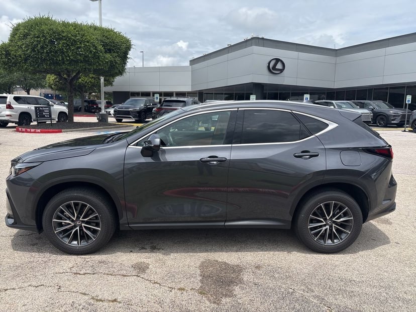 2025 LEXUS NX 250