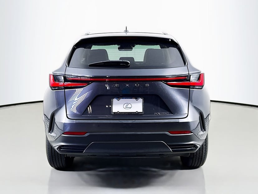 2024 LEXUS NX 250 - Image 6