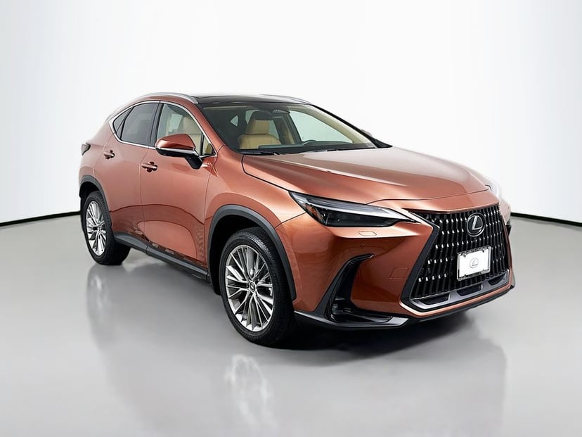 2025 LEXUS NX 350