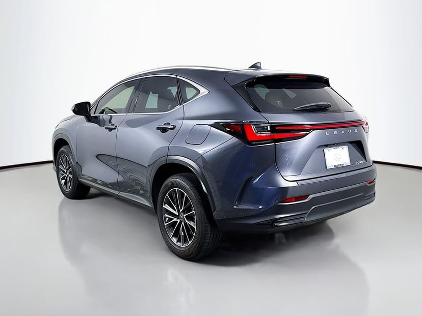 2024 LEXUS NX 250 - Image 7