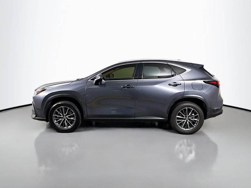 2024 LEXUS NX 250 - Image 8