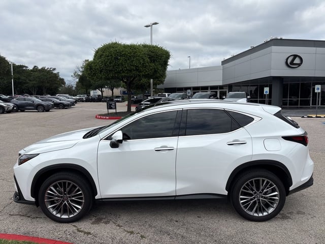 2026 LEXUS NX 350
