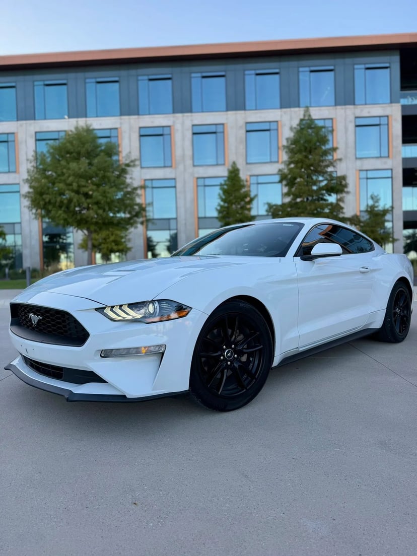 2019 Ford Mustang - Image 1
