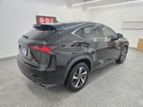 2019 Lexus NX - Preview 6