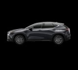 2026 Lexus NX - Preview 3