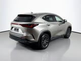 2024 Lexus NX - Preview 5