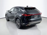 2023 Lexus RX - Preview 7