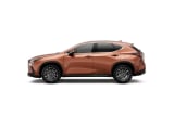 2026 Lexus NX - Preview 2