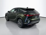 2026 Lexus RX - Preview 7