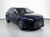 2025 Lexus RX - Preview 3