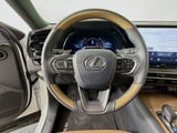 2025 Lexus RX - Preview 11