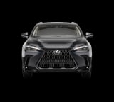 2026 Lexus NX - Preview 6
