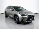 2025 Lexus NX - Preview 3