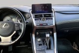 2020 Lexus NX - Preview 6