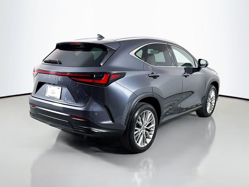 2024 Lexus NX - Image 2
